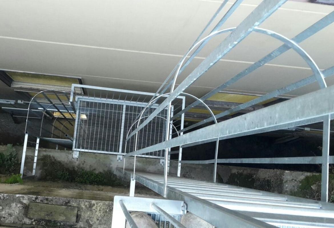 Scala antincendio zincata (2)
